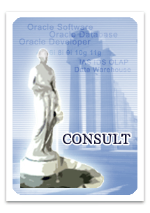 Oracle consulting